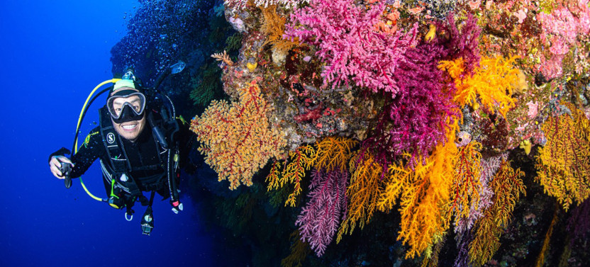 Spirit of Freedom 7 Night Liveaboard Trip