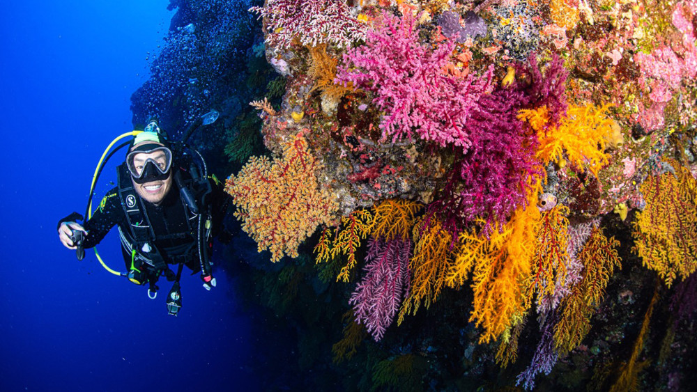 Spirit of Freedom 7 Night Liveaboard Trip