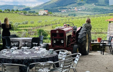 EFun Tours - Porto & Douro Tours3