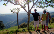 EFun Tours - Porto & Douro Tours8