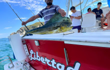 Paraiso Huatulco DMC1