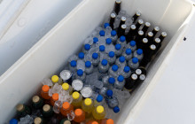 Paraiso Huatulco DMC13