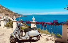 Your Buddy On The Coast14