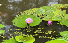 Saigon Private Tour Guide1