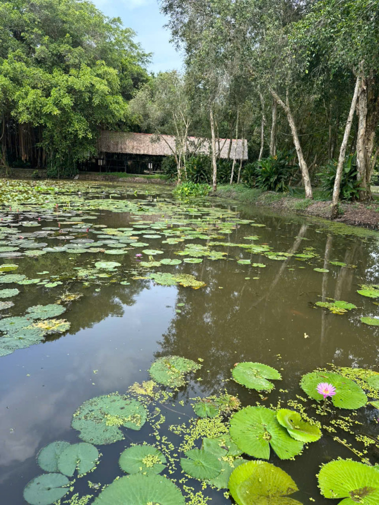 Full Day Private Tour Mekong Secret Part: Xeo Quyt Forest, Sadec Town