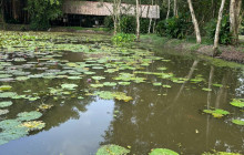 Saigon Private Tour Guide7