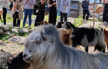 GOCRETESAFARI KAI SIA EE7