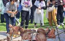 GOCRETESAFARI KAI SIA EE10