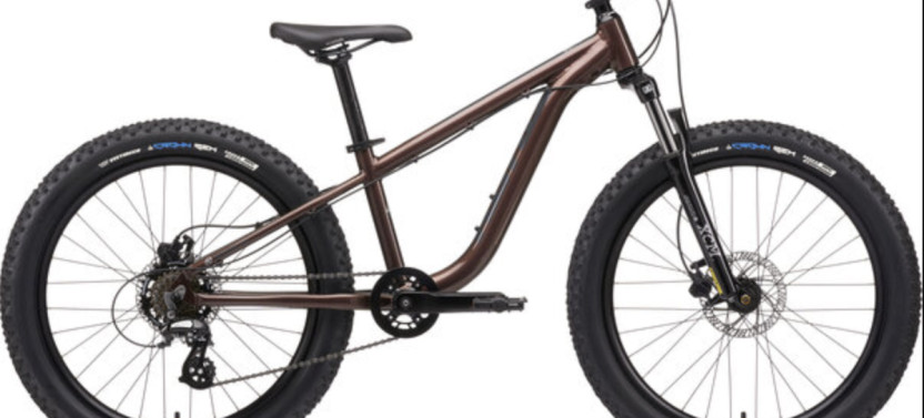 Boston Kid Bike Rental