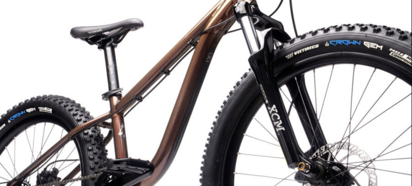 Boston Kid Bike Rental