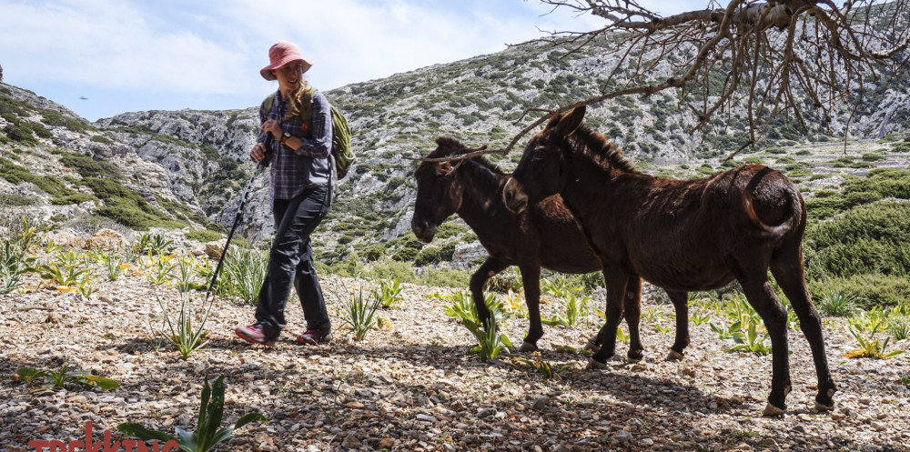 8 Day Guided Hiking Trip – The Unspoiled Karpathos Island