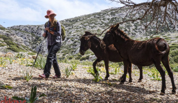 A picture of 8 Day Guided Hiking Trip – The Unspoiled Karpathos Island