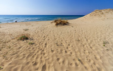 Avalon Travel Services7