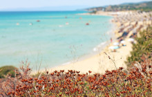 Avalon Travel Services1