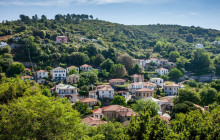 Avalon Travel Services4