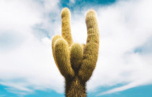 La Quebrada Turismo3