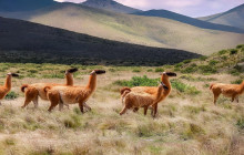 La Quebrada Turismo2