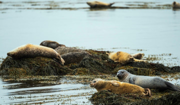A picture of 2 Days in Iceland - Golden Circle & Snæfellsnes Peninsula