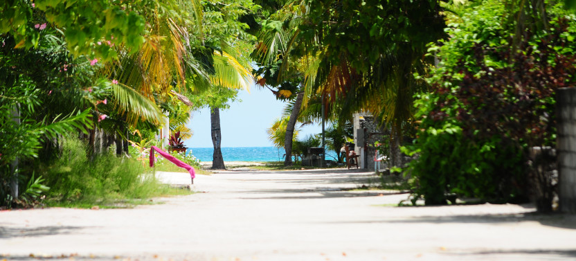 Small Group: North Ari Atoll Island Hopping - 8D/7N