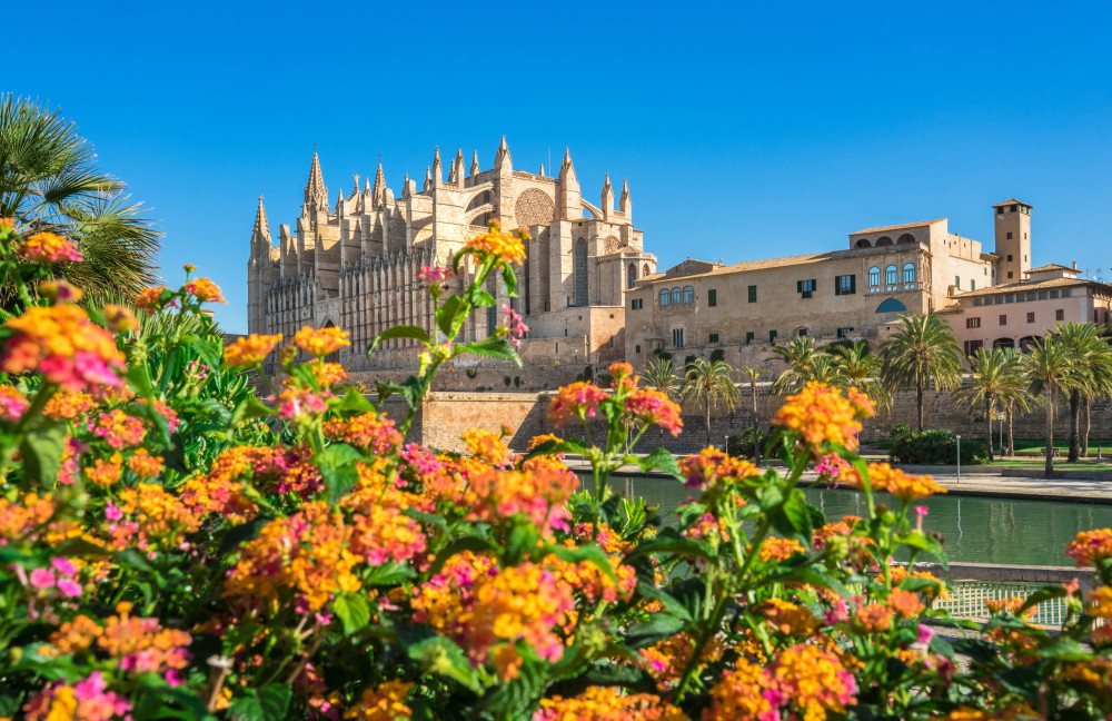 Best Palma de Mallorca and ValLdemossa Tour from Cruise Port