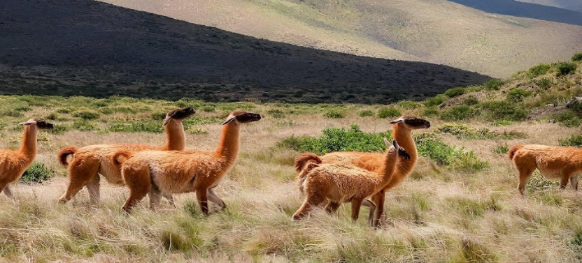 Full-Day Tour to Humahuaca, Purmamarca and Tilcara from Salta