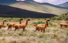 Wine Tours of Sedona3