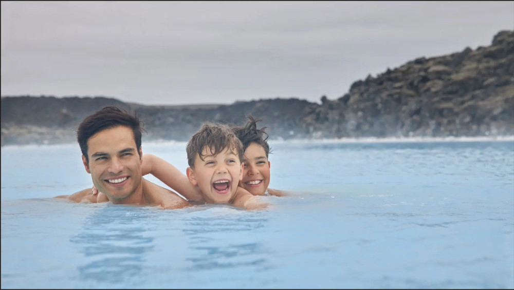 Private Blue Lagoon/Reykjavik Transfer (one way)