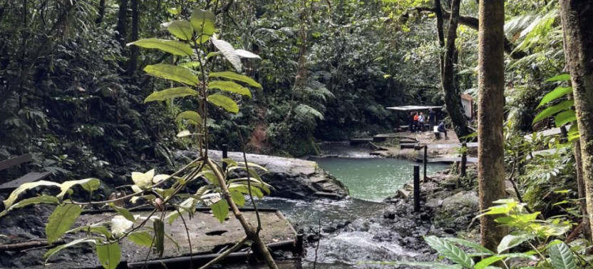 Guided Rainforest Waterfalls & Swimming Tour in Suva