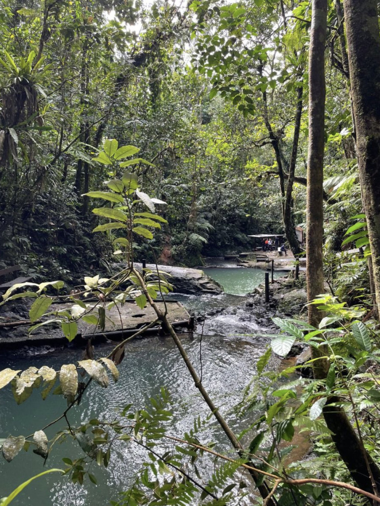 Guided Rainforest Waterfalls & Swimming Tour in Suva