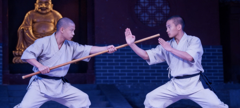 2-Day Bullet Train Trip to Longmen Grottoes and Shaolin Temple from Beijing