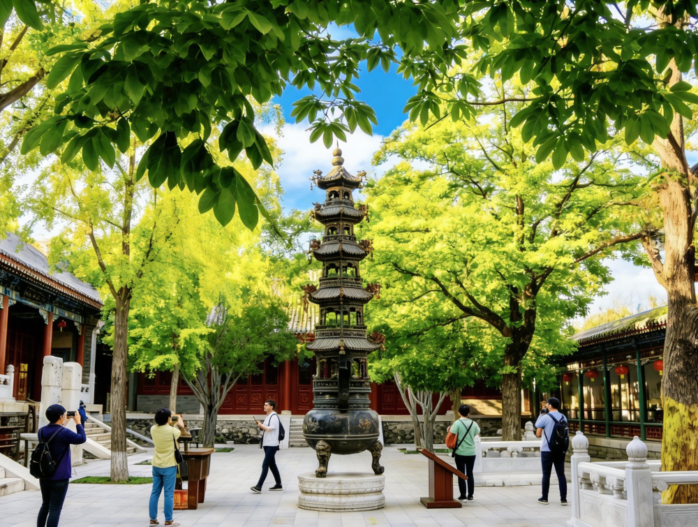 2-Day Bullet Train Trip to Longmen Grottoes and Shaolin Temple from Beijing