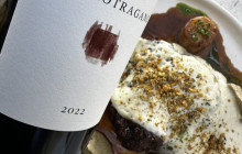 Santorini Golden Tours8