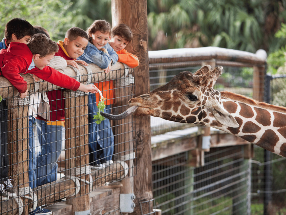 Private Family Day Trip: Pistoia Zoo and Pisa from Florence