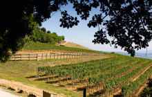 Authentic Italy Adventures srl2