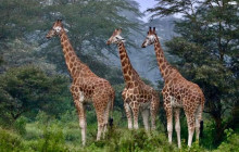 Jossec Tours and Safaris5