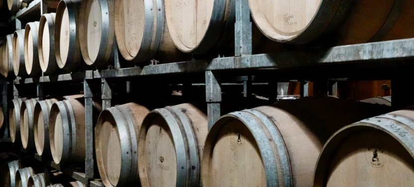 Small-Group Barolo Wine Tasting & Alba Visit from Milan