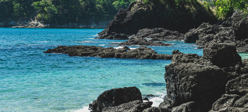 Manuel Antonio National Park: Guided Wildlife & Beach Time with Tickets