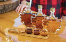 Gray Line Niagara Falls USA4