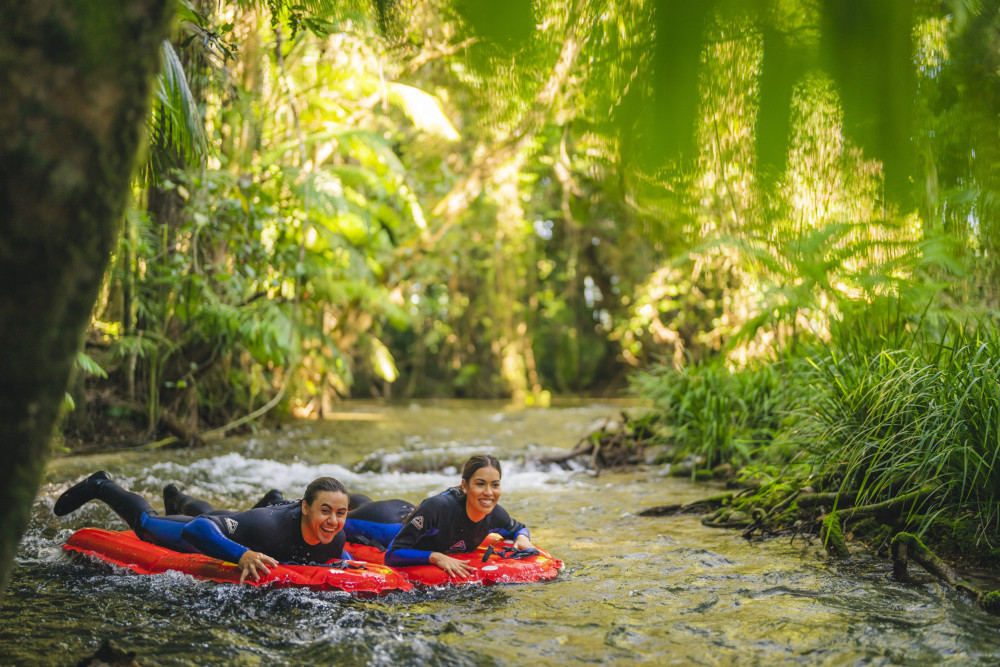 Rainforest River Drift Experience