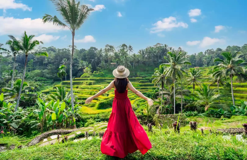 Ubud Tanah Lot Temple Tour