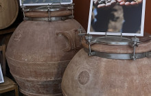 Athena Private Tours9