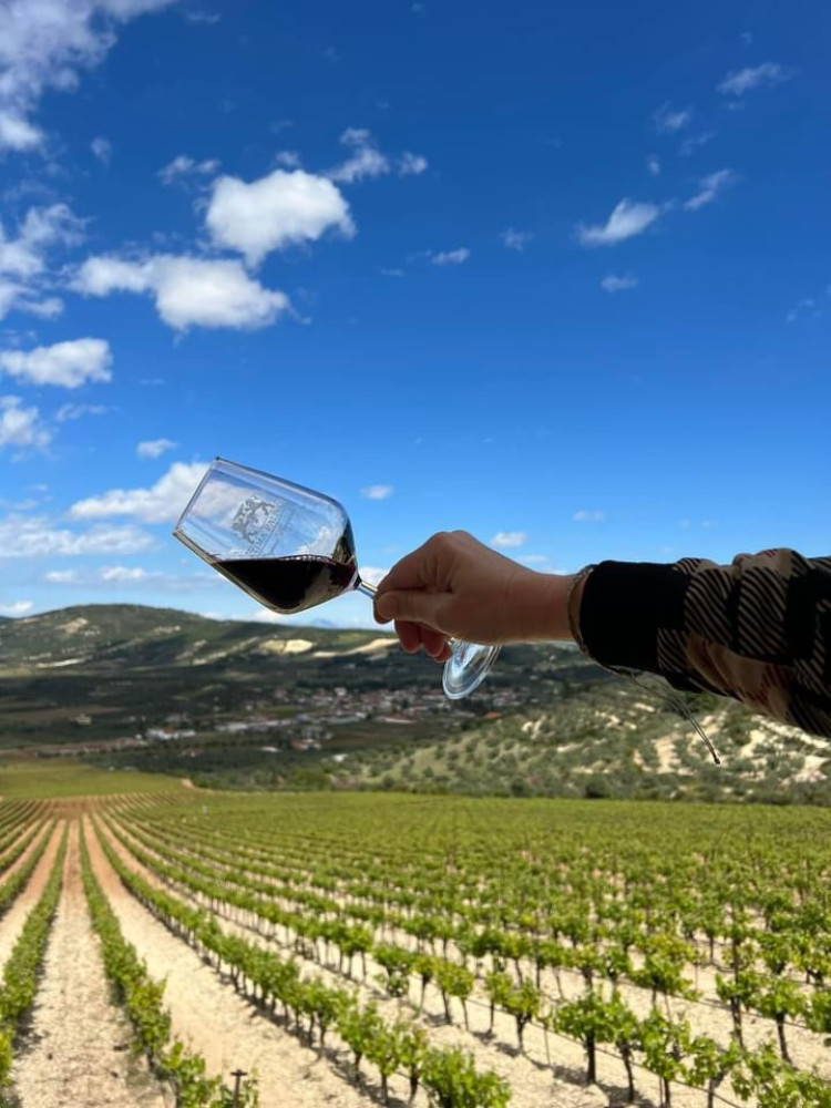 Athena Private Tours