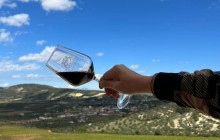 Athena Private Tours13