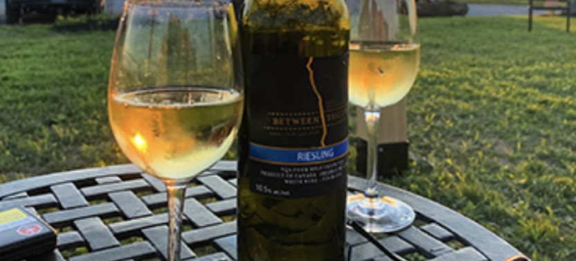 Niagara Wine Country Saturday Evening Tour + Tastings & Gourmet Dinner