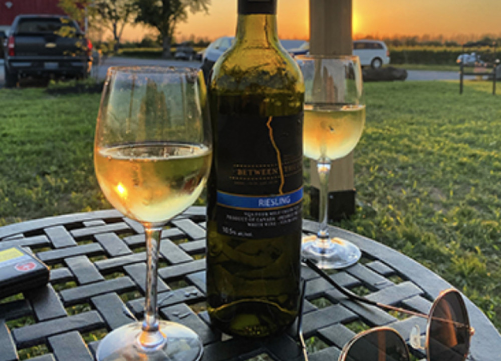 Niagara Wineries Dinner Tour