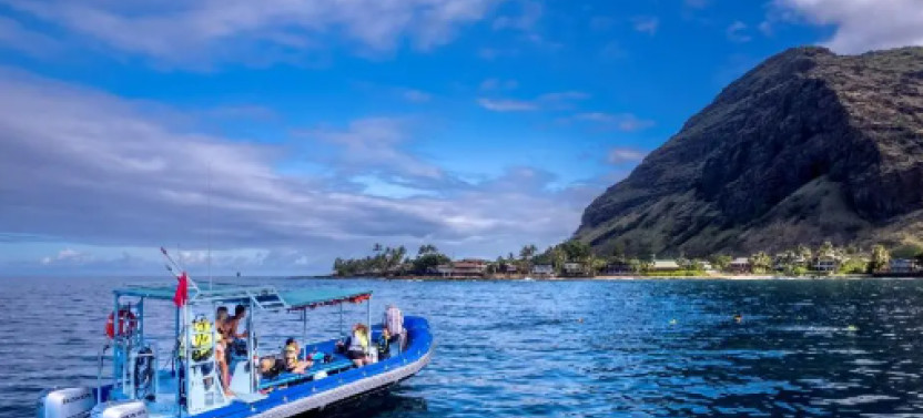 Private Charter: Dolphin Warrior