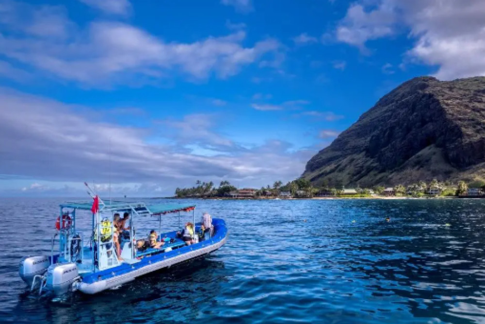 Iruka Hawaii Dolphin - O'ahu