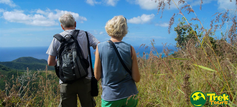 Guided Rainforest Hike up Signal Hill