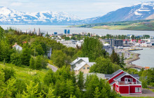 Your Friend in Reykjavik3