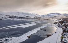 Your Friend in Reykjavik8